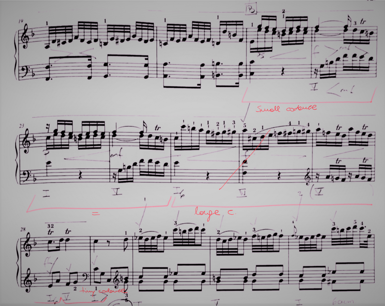 Analysis Haydn Sonata F Band 1